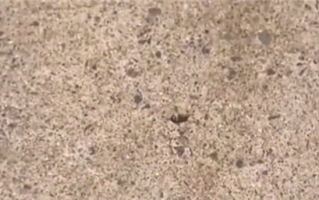 河南有多热？蚂蚁落地3秒暴毙 郑州等地集体41℃+！中央气象台再发高温预警