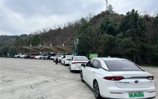 开电动车返乡要三思 网友晒高速服务区充电现状：已排成长队