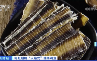 蚯蚓遭“灭绝式”捕杀！一次轻松收获十几斤 律师紧急提醒