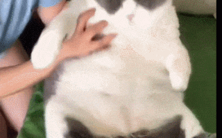 为什么长胖很容易 减肥却