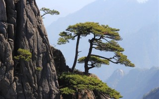 假期的黄山空荡荡 近二十年最冷清“五一”：本地导游转行做外卖等