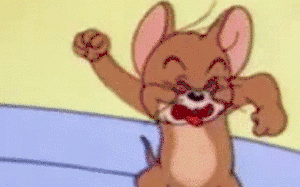 现实版《猫和老鼠》 仓鼠隔笼吐舌头“挑衅”猫咪