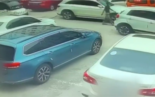 狗狗被关车内踩油门将车开走追尾 车没熄火赔了300：网友神评心疼前车车主