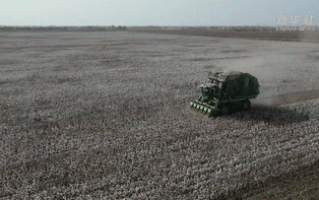 北斗立大功：新疆3000亩“超级棉田”以往需要30人管理 现在仅需2人