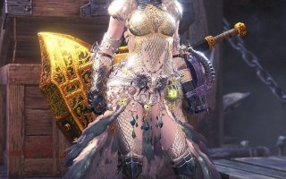 怪物猎人世界单刷武器推荐,怪物猎人世界绚辉龙单人怎么打