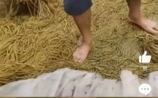 螺霸王否认螺蛳粉使用脚踩酸豆角：将邀请用户访问工厂