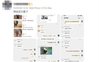 到底是哪些大冤种 在网上买野生大象？