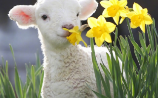 单身专用撩妹抖音网名（容易撩到妹子的男生抖音昵称）