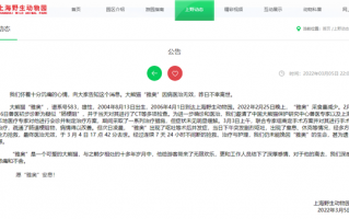 上海网红大熊猫“雅奥”离世 网友感叹：最奶萌的大叔走了