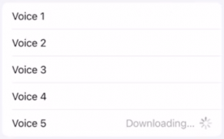 苹果的新Siri：不男 也不女