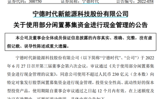 14万股东懵了！宁德时代刚募资450亿 就拿230亿买理财