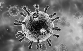 中国内地首次检出奥密克戎BA.5.1.7进化分支：传染性极强