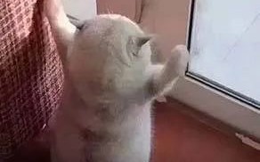 不拆分单词也可以做 NLP，哈工大最新模型在多项任务中打败 BERT，还能直接训练中文