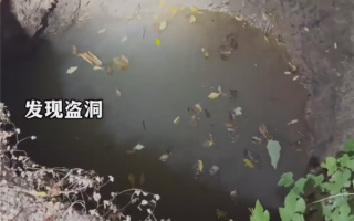 男子查古籍找到古墓群后盗墓：种上庄稼 掩人耳目