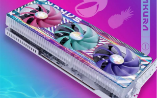 精准发力“二次元”群体：盈通推出“樱瞳水着”RTX 4080显卡