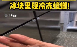 员工爆料奶茶店用过期原料 老板：事儿太多