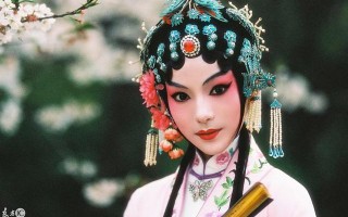 胭脂干屈意承欢乱了流年