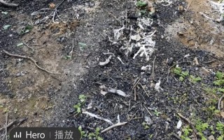 露营终于有人管了 广州：搭帐篷需预约 飞无人机被明确禁止