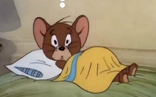 4次被误认为恐怖分子逮捕！日本教授硬核人生惊呆网友