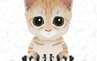猫咪机器人下国际象棋快逼疯人类 顶级棋手也只能和它打成平局