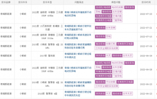 奇瑞小蚂蚁被集体投诉刹车失灵！车主：刹车根本踩不动