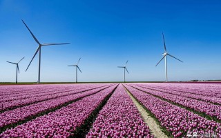 世说新语原文及翻译（世说新语在线阅读及翻译）