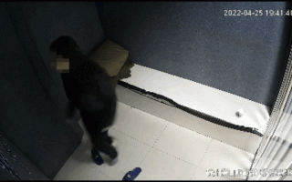 女子被抓竟在派出所跳《本草纲目》网友直呼：刘畊宏女孩太厉害了