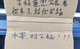 21岁男子撞车后向27岁“叔叔”道歉 车主果断索赔