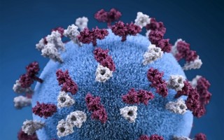 累计确诊已超1788万！两种奥密克戎亚变种病毒再登临韩国