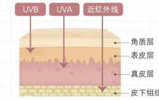 人体哪个部位最白？皮肤科专家为你解答