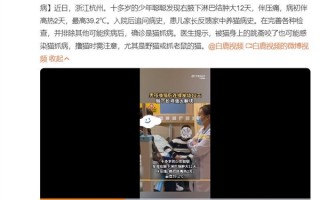 男孩撸猫后发烧12天：腋下长鸡蛋大肿块