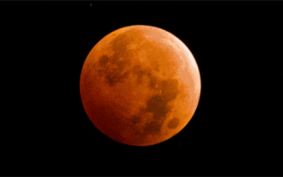 下午4点开始！今日中国多地可见月全食：错过等三年