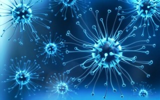 猴痘病例四起 会传入中国吗?专家释疑：中国没动物传染源