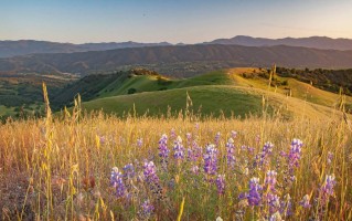 苹果联合创始人马库拉出售 14100 英亩牧场，将成为公共保护区