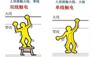 被鸟屎击中后 我发现了一个