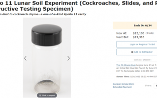 蟑螂被卖到8万块：就因为它们吃过月球上的土