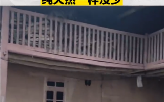 丈夫称老家有别墅 女子回村直呼上当：网友调侃诚不欺我 真纯天然