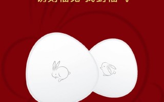 华为Tag防丢精灵兔年限定款镌刻上线：福兔呆萌可爱