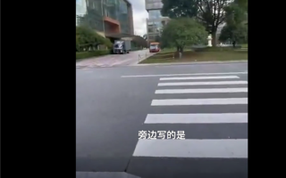 流浪猫在上海CBD拥有豪华猫舍引关注 网友感慨：替我实现了别墅梦