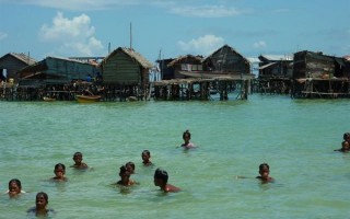 血管走向改变、脾脏增大50% 巴瑶族人为了潜水还会继续进化吗？