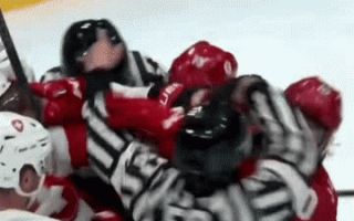 实锤了 很多人看冰球其实是为了看打架