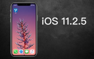 苹果发布 iOS 11.2.5正式版：为HomePod而生