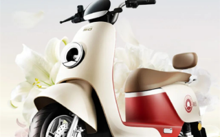 小姐姐绝配！新日花仙子电动两轮车上市：支持“仙女”一键倒车