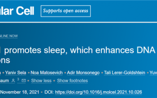 别熬夜了！你的DNA随时都在断裂 只有睡够了才能修好