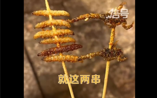 女子丽江60元买2串烧烤仅6只虫2只蝎 景区回应其吐槽：特色小吃贵