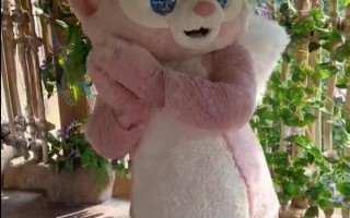 玲娜贝儿跳世界杯手势舞WaKaWaKa：被可爱到了