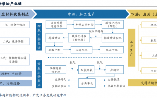 地沟油会梦见环保飞机吗