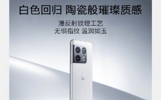熊猫机！一加10 Pro胖达白512G至尊版首销：5799元