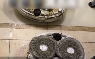 狗在家拉屎被扫地机器人涂满全家 网友：郭德纲段子成真