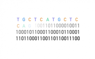 你身体里的DNA 能存下整个宇宙的数据
